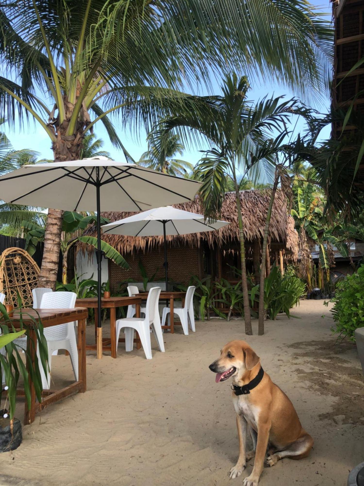 Zhaya'S Beach & Cottages Ел Нидо Екстериор снимка