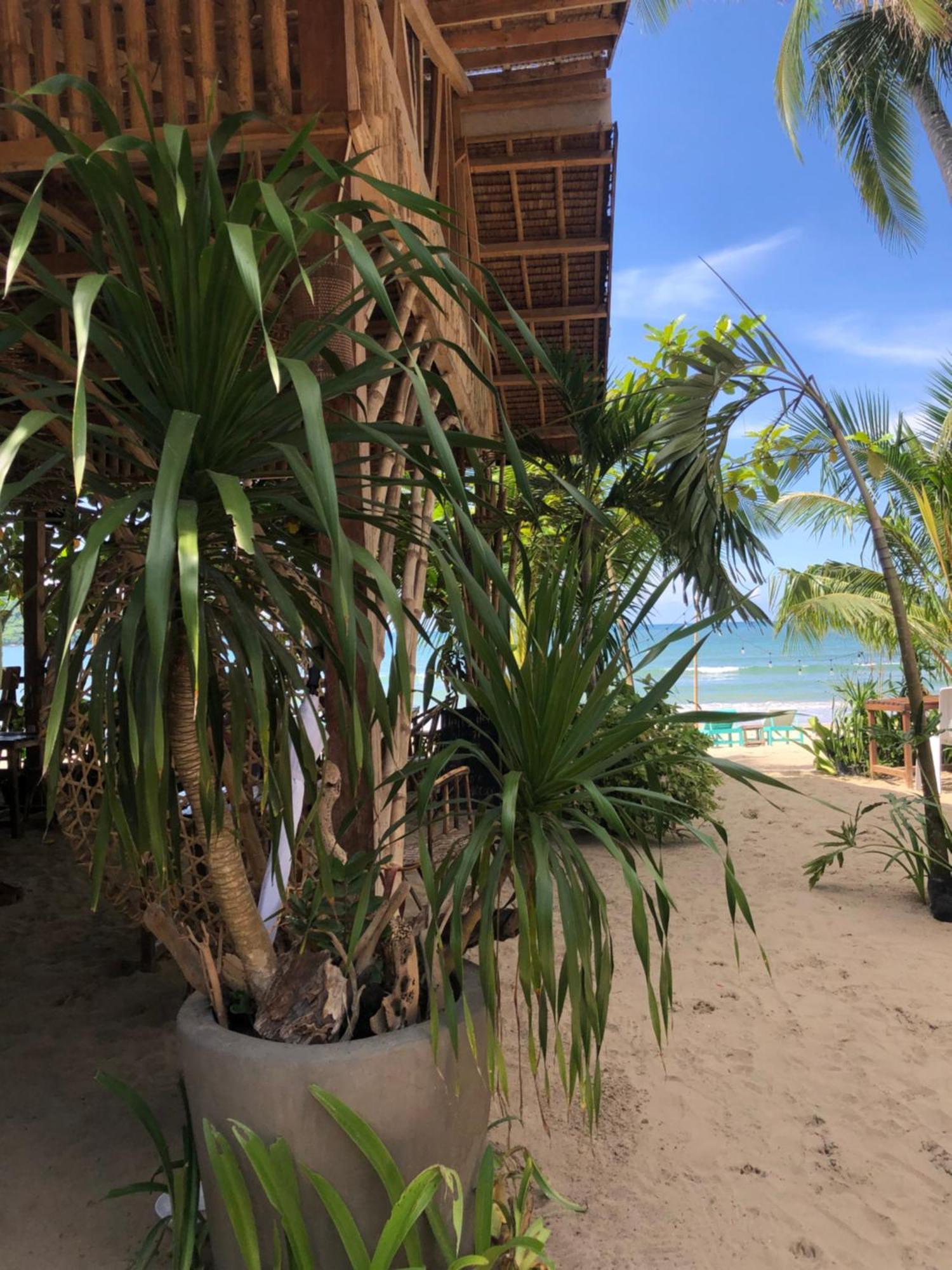 Zhaya'S Beach & Cottages Ел Нидо Екстериор снимка